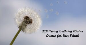 Funny Birthday Wishes Quotes for Best Friend