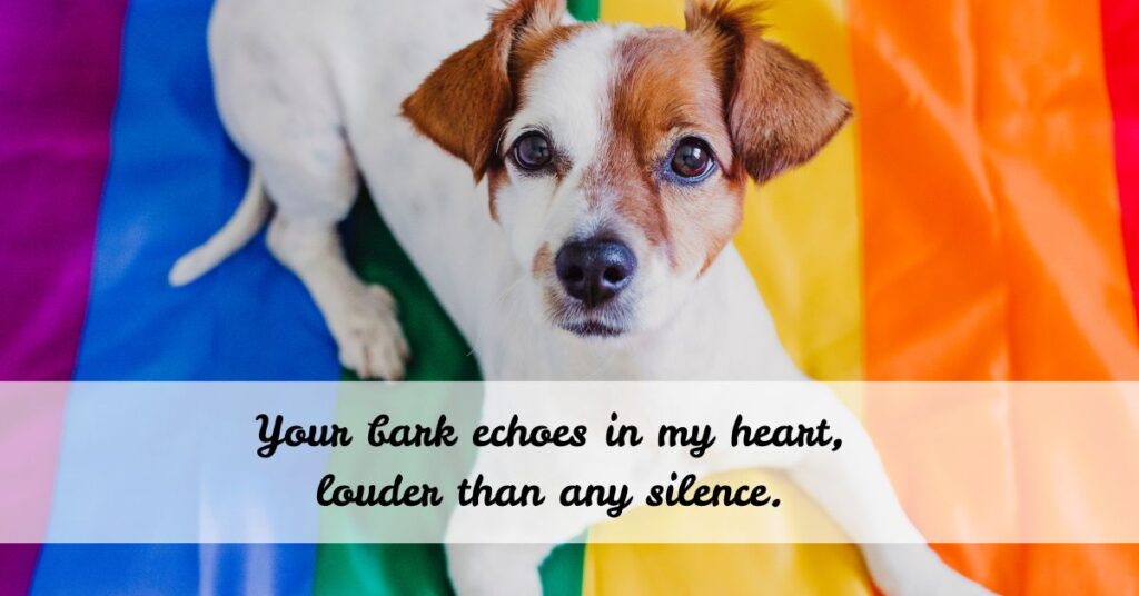  Quotes for the Loss of a Dog