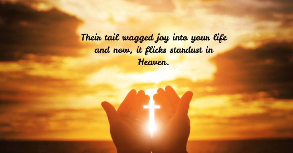 Comforting Christian Messages for Pet Loss