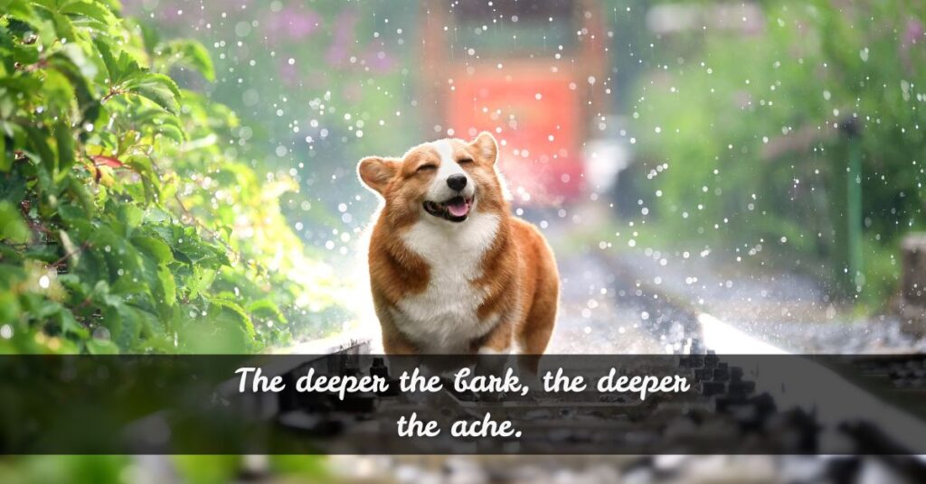 Comforting Quotes About Dog Death
