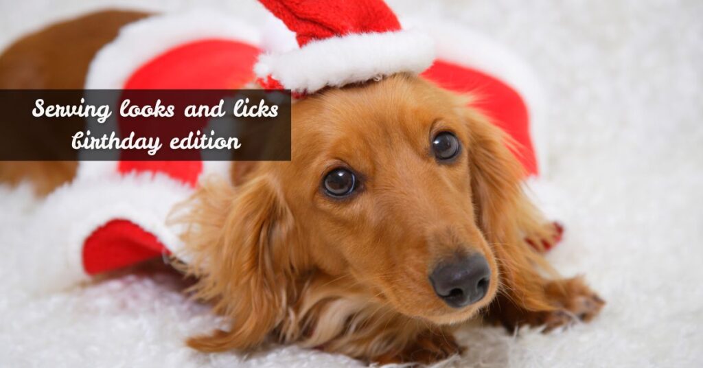 Cute Puppy Birthday Captions for Instagram