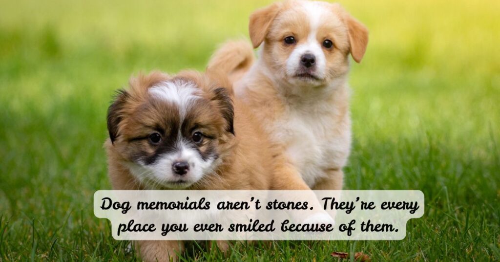 Dog Memorials & Heaven Quotes