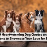 Dog Quotes