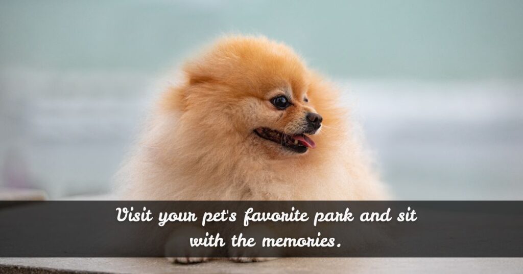 Dog Remembrance Activities for the 1 Year Anniversary