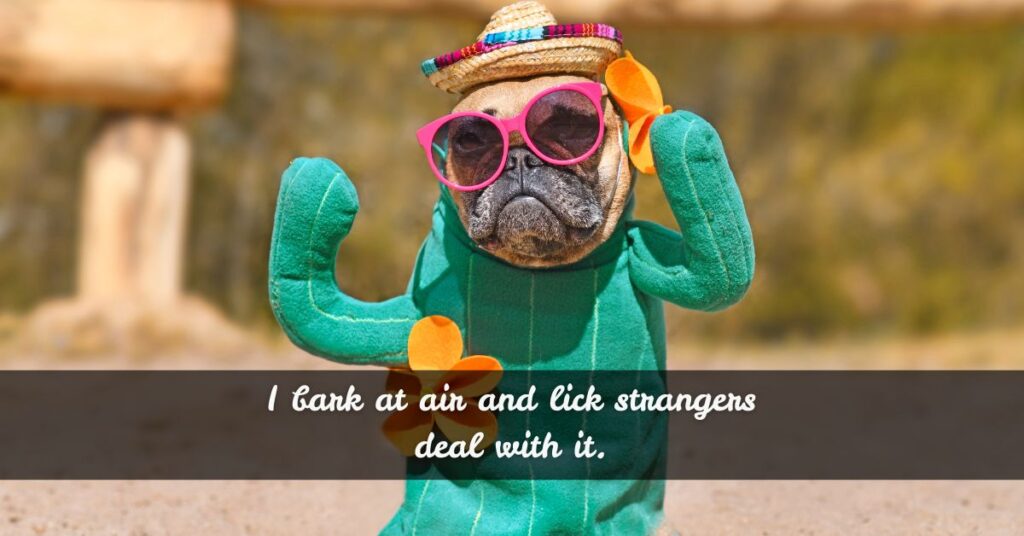 Dog Sayings With Sass and Attitude