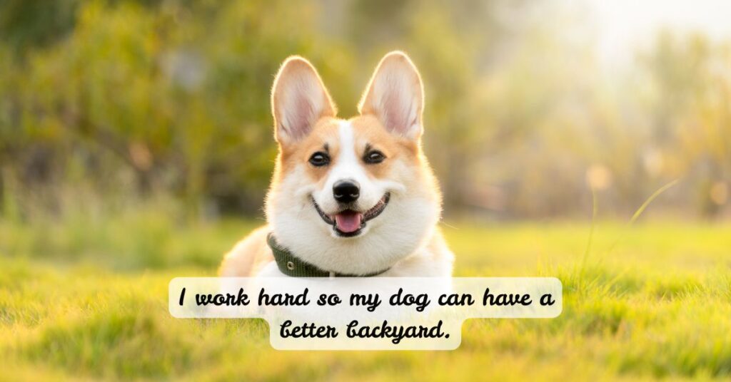 Funny Dog Quotes to Make You Howl