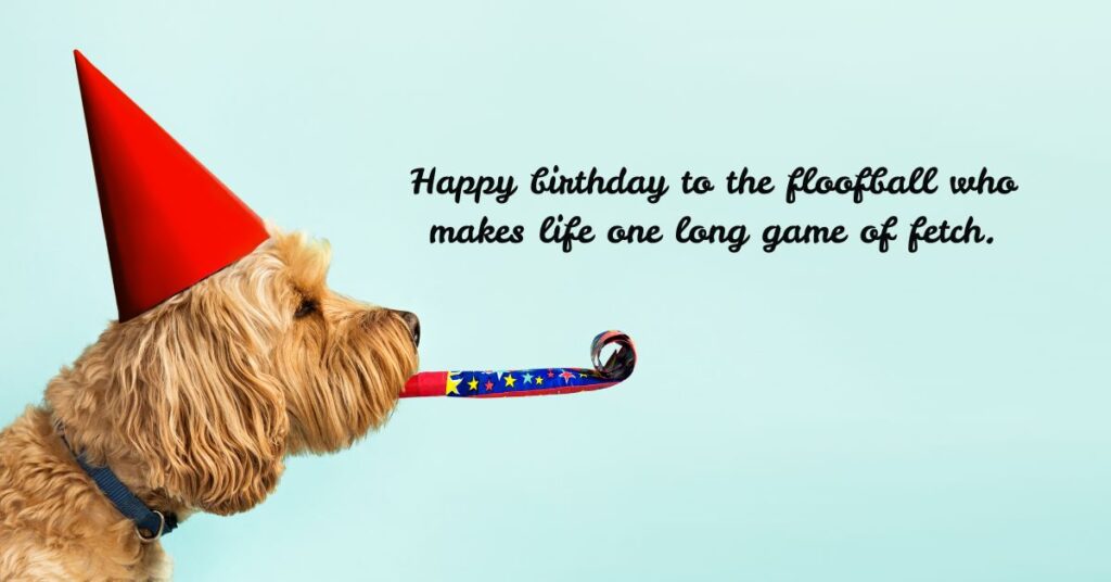 Happy Birthday Dog Quotes That Celebrate Joy