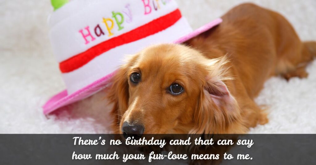 Heartfelt Dog Birthday Quotes for Pet Lovers