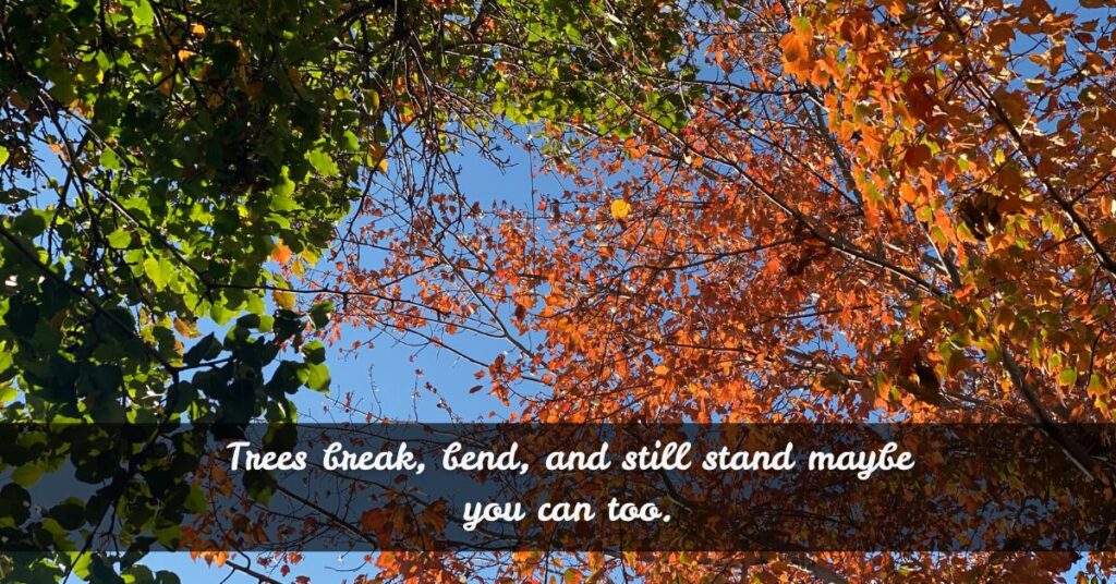Inspirational Nature Sayings Lessons from Trees, Rain, and Soil